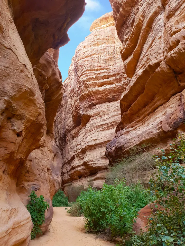 Alula Saudi Arabia