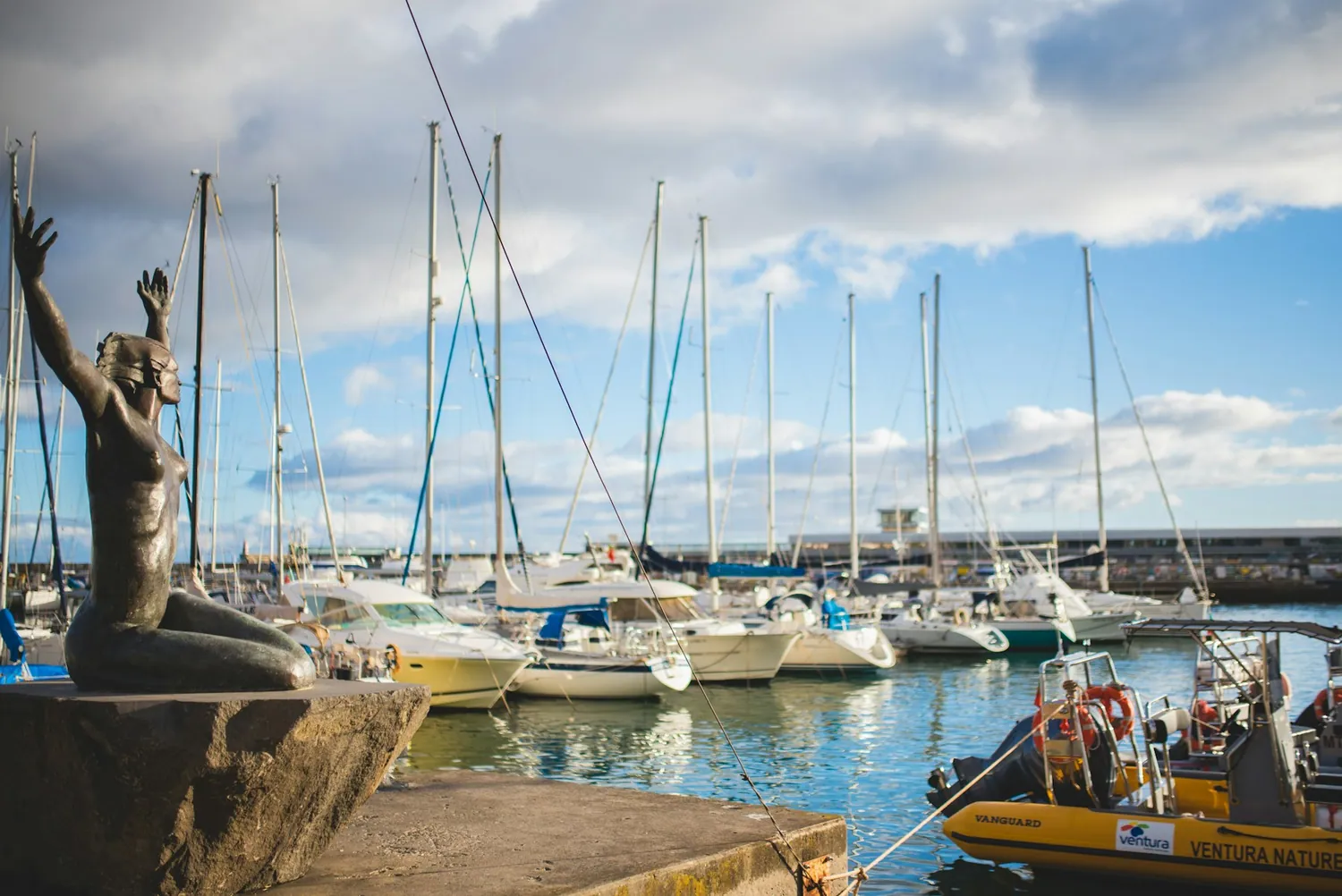 Marinaen i Funchal på Madeira med seilbåter