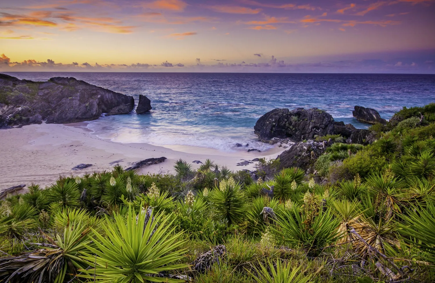 Rosa sandstrand på Bermuda i skumringen