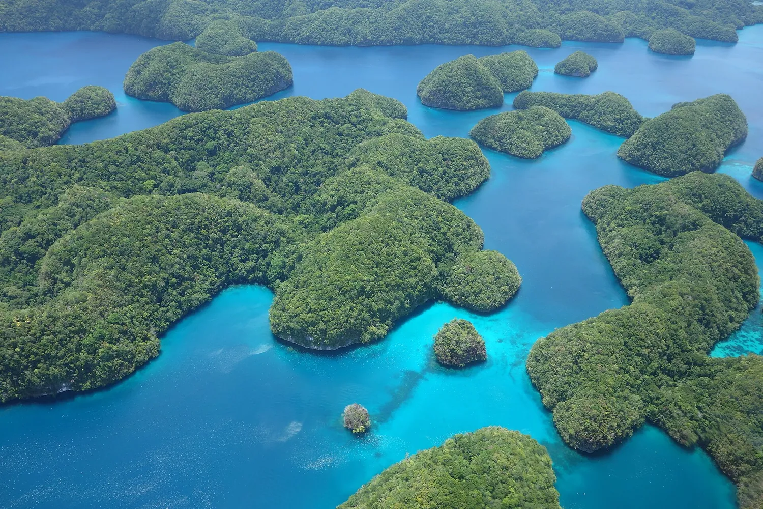 Rock Islands på Palau sett ovenfra, grønne øyer i en turkis lagune