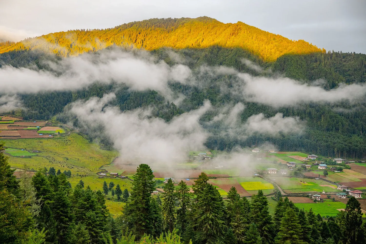 Bhutan