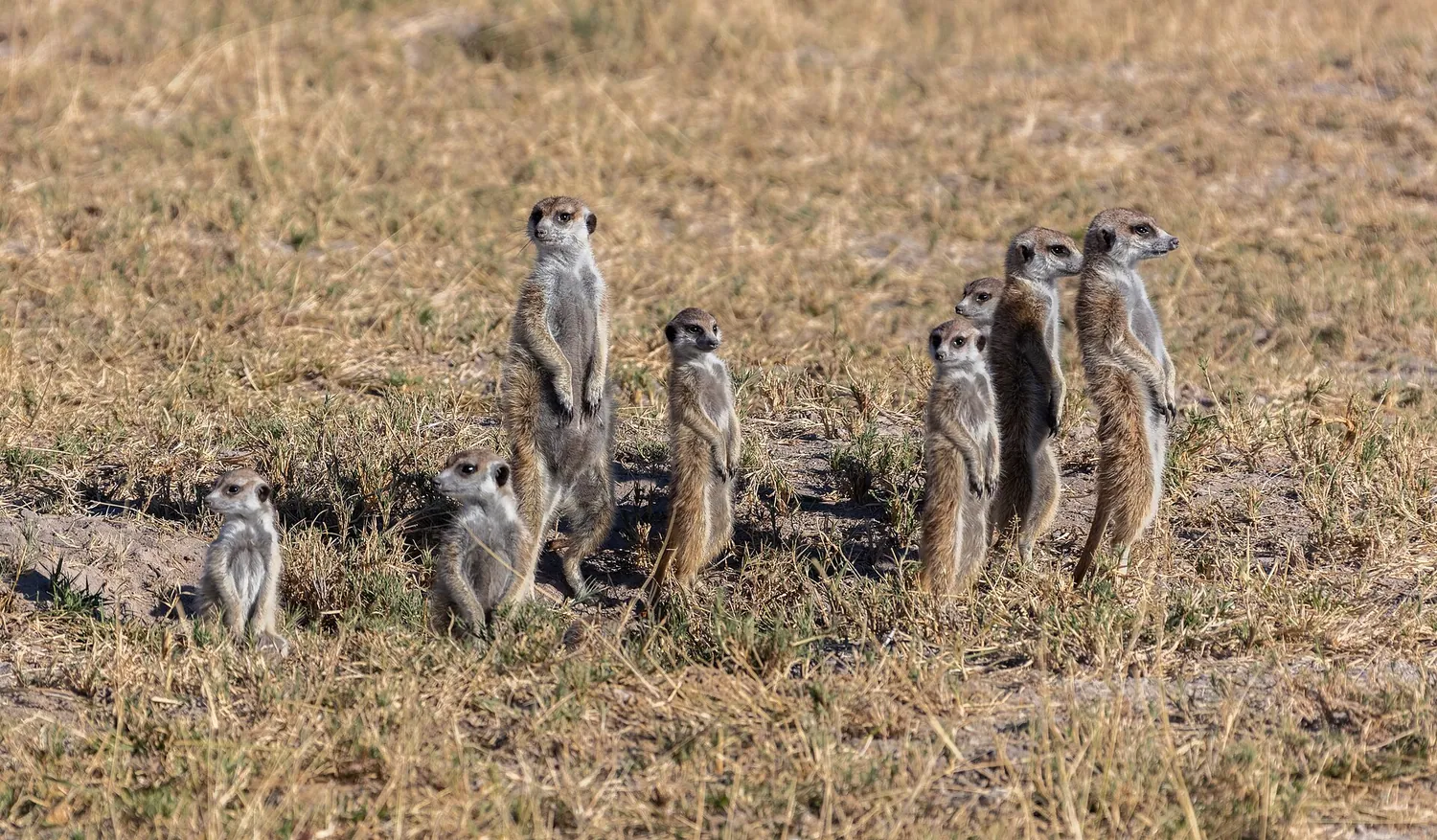Botswana