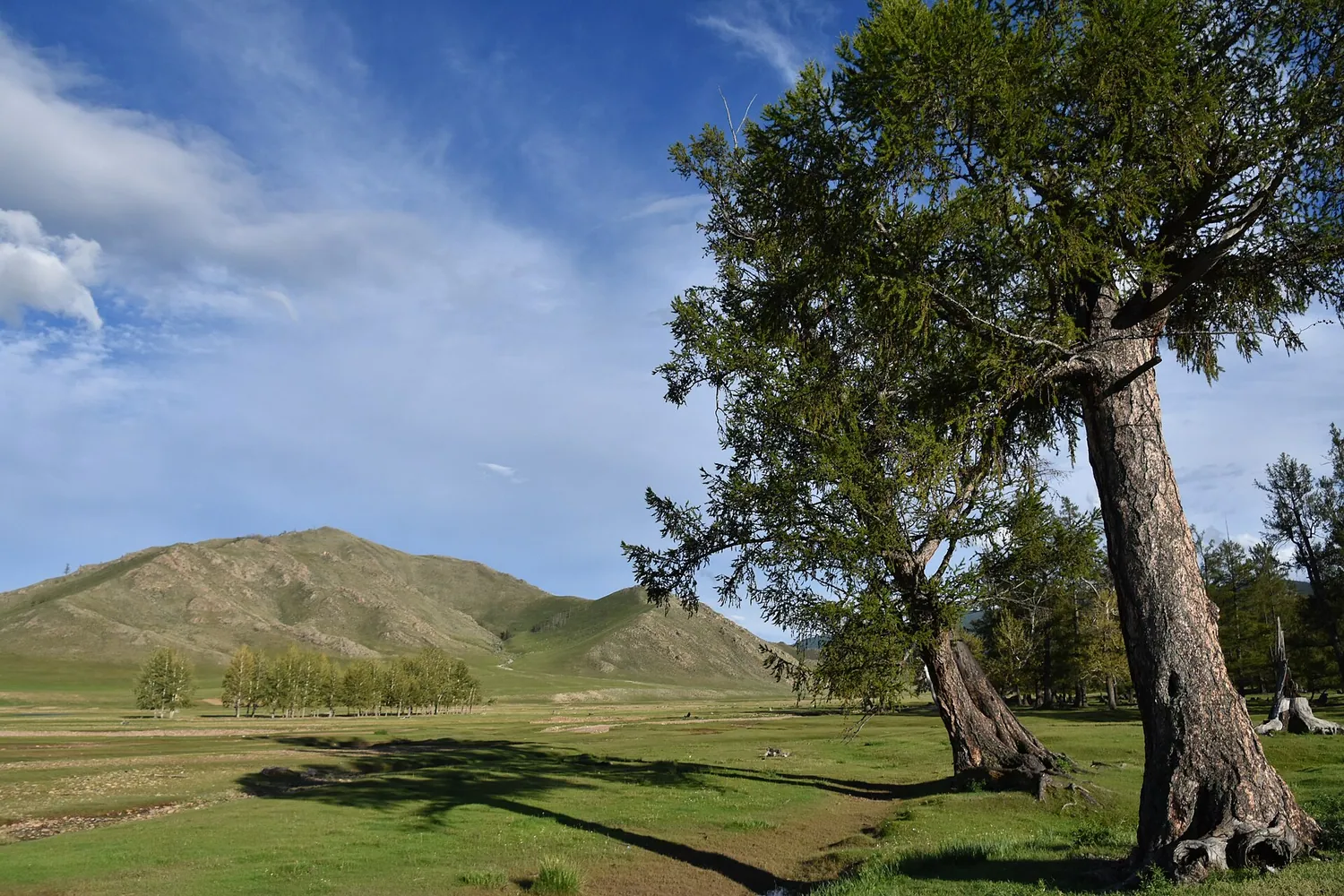 Mongolia