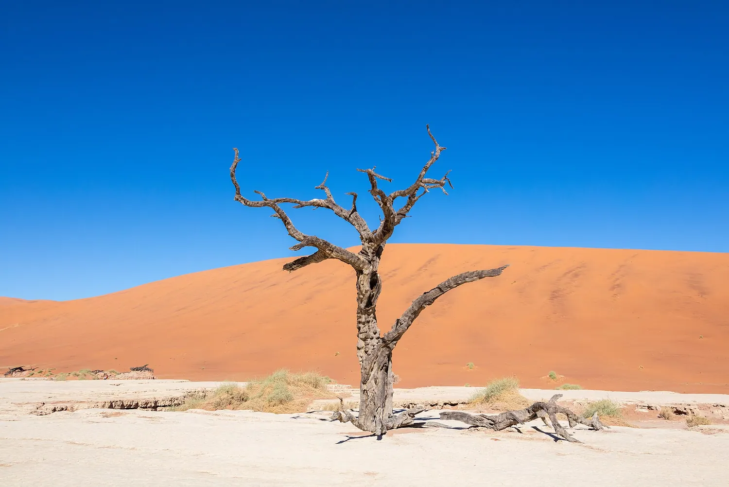 Namibia