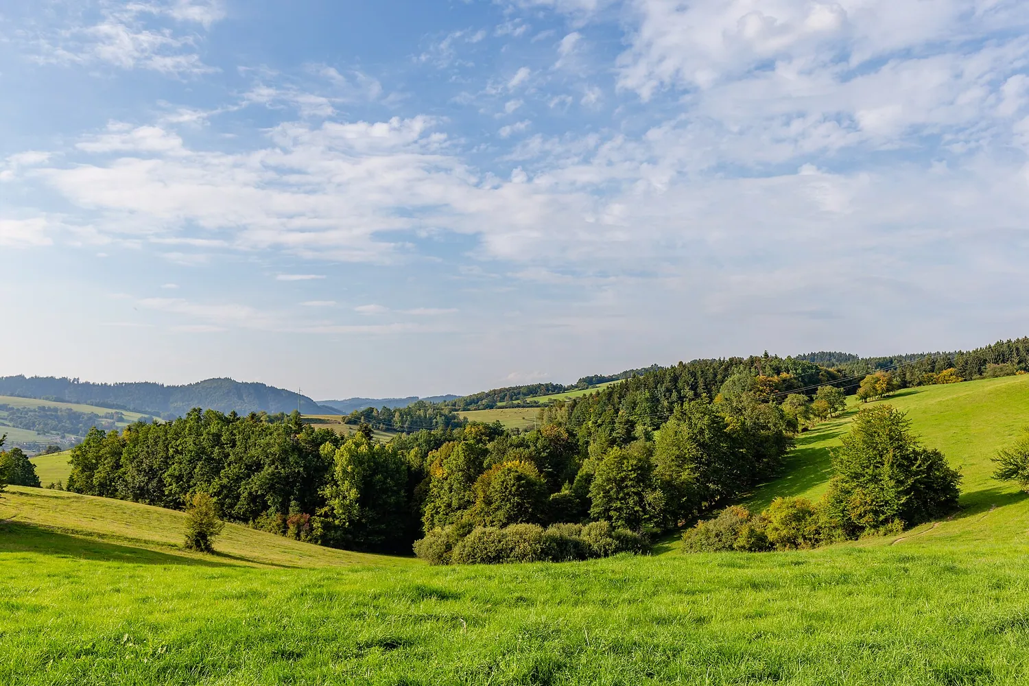 Tsjekkia