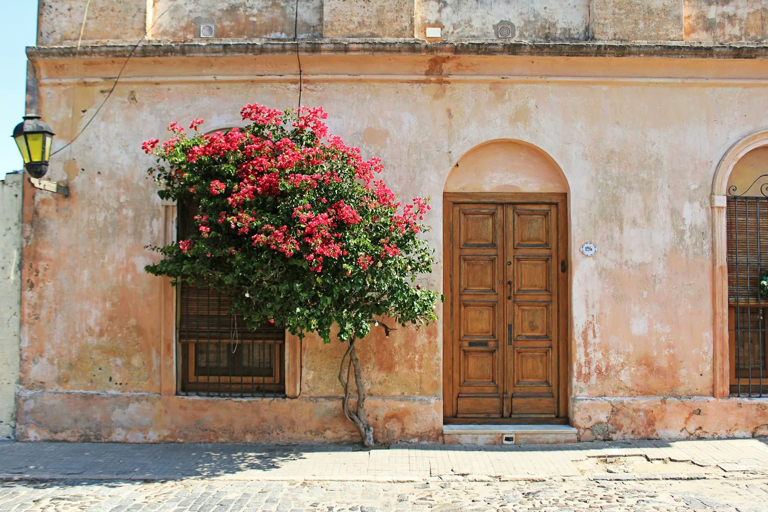 Portal med bougainvillea i Colonia del Sacramento i Uruguay