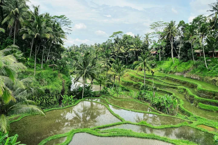 Ubud Bali